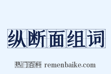 纵断面组词是什么意思的图片